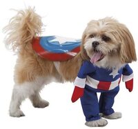 Disfraz para perro de Capitan America de pie