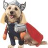 Disfraz para perro de Thor pie