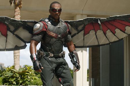 Falcon Sam Wilson