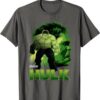 Camiseta Hulk Infinity War